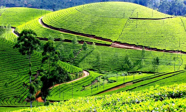 Kodaikanal is a hill town in the southern Indian state of Tamil Nadu | Book now