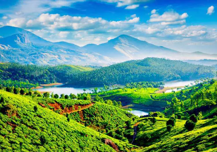 Munnar Thekkady Alleppey Tour Package | Orange cabz